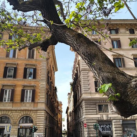 Vatican Near Sweet Home Terrace โรม ภายนอก รูปภาพ