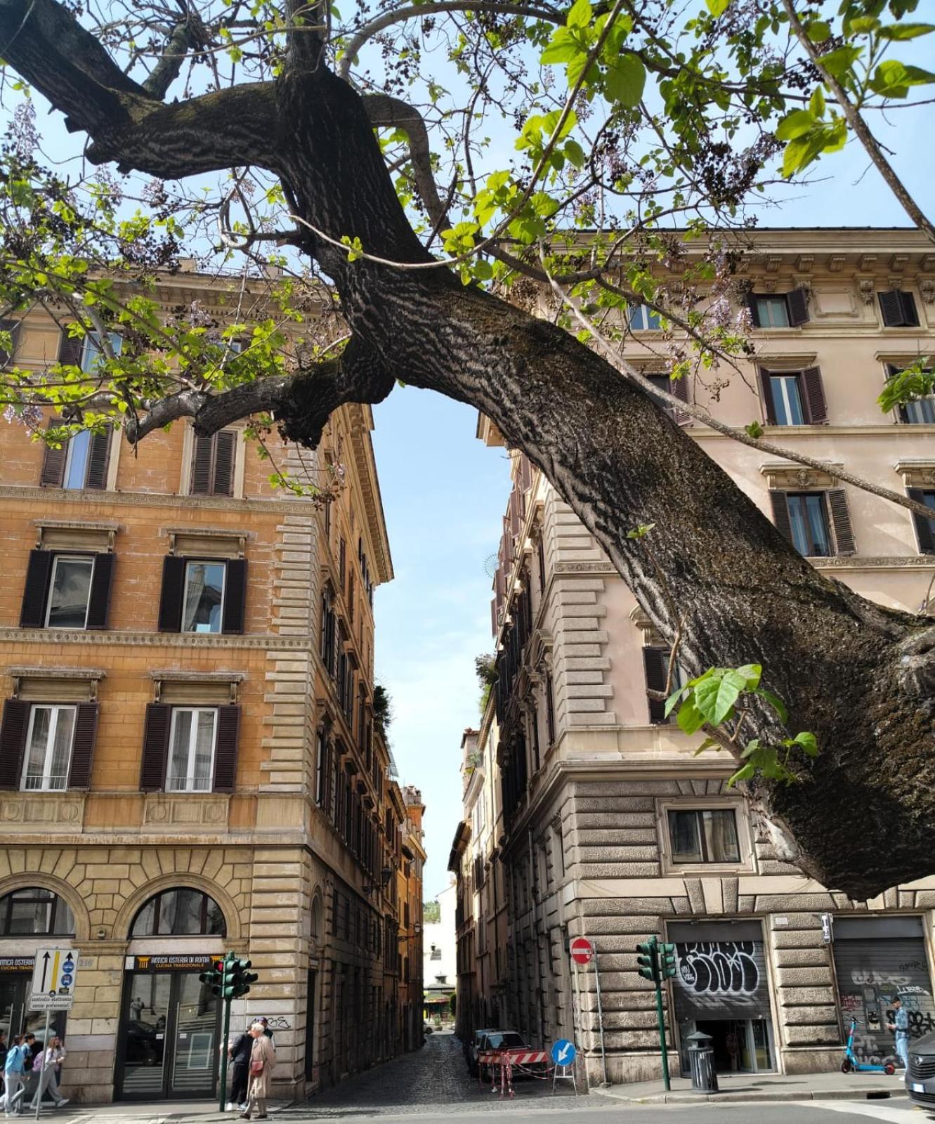 Vatican Near Sweet Home Terrace โรม ภายนอก รูปภาพ